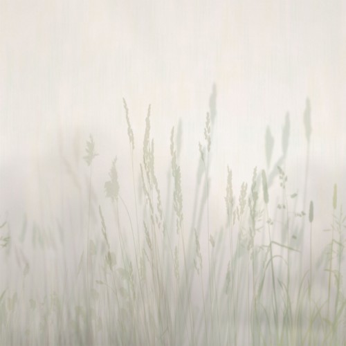 Панно Affresco Trend Art ZK420-COL3 2x2,01 м Панно Affresco Trend Art ZK420-COL3 2x2,01 м