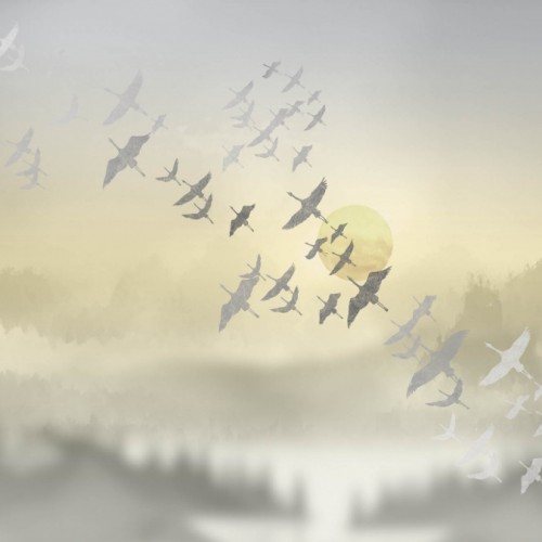 Панно Affresco Trend Art ZK444-COL4 2x2,68 м