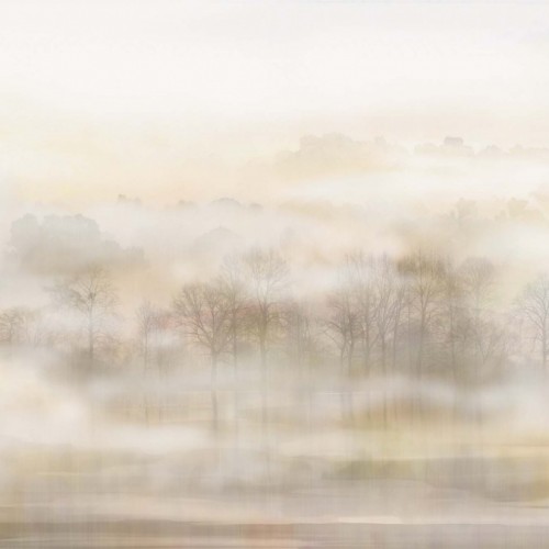 Панно Affresco Trend Art ZK480-COL2 2x2,68 м
