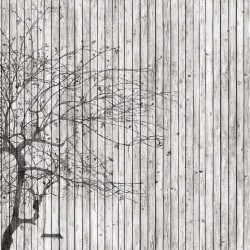 Панно Affresco Re-Space IV109-COL1 2x2,68 м