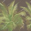 Панно Affresco Wallpaper Part 1 Tropical Branches AF950-COL4 2x2,68 м