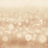 Панно Affresco Wallpaper Part 2 Dandelion AB144-COL3 2x2,68 м