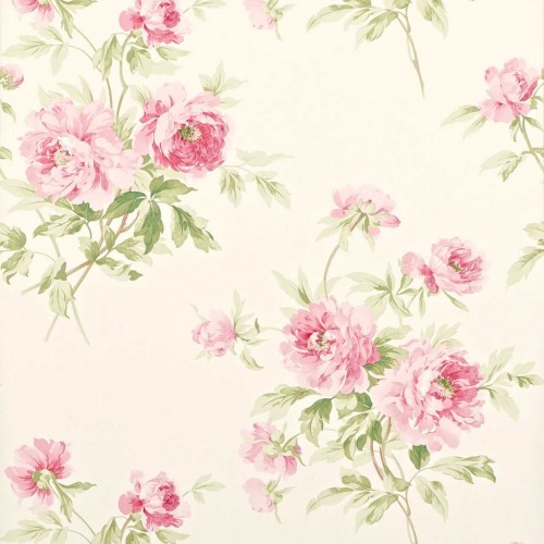 Обои Sanderson One Sixty Adele Rose/Cream DCAVAD101