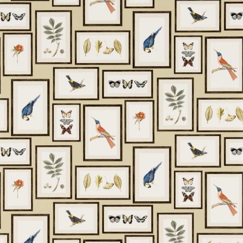Обои Sanderson One Sixty Picture Gallery Sand/Multi 213399