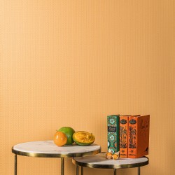 Обои Milassa Amsterdam DM2 004/1 10,05×1