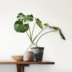 Обои Aura Living@Home 491641 11,2×0,52