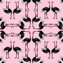 Обои Aura La Tapicera Avestruz Chicle WP181052 10,05×0,53