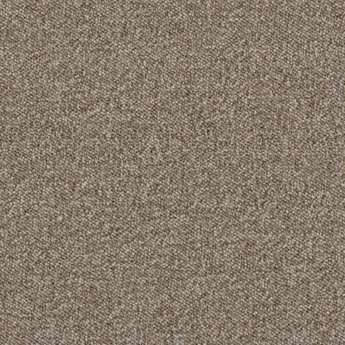 Ковролин Associated Weavers Maxima цвет 37 1000×4000×6 Ковролин Associated Weavers Maxima цвет 37 1000×4000×6