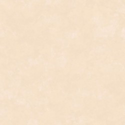 Обои Loymina Golden Library Tondo TDG7 002/2 10,05×1