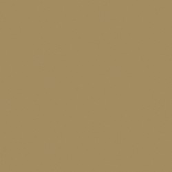Обои Loymina Golden Library Plain SAT3 005/1 10,05×1