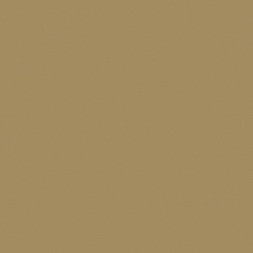 Обои Loymina Golden Library Plain SAT3 005/1 10,05×1