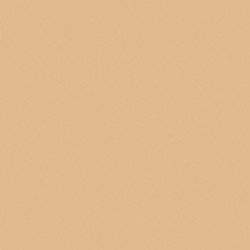 Обои Loymina Golden Library Plain SAT3 0501 10,05×1