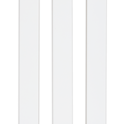 Рейка декоративная Ликорн белая 2800×40×16