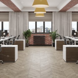 Кварцвиниловый SPC ламинат Alpine Floor Chevron Alpine Карите ECO 18-11 французская елка 600×127×5