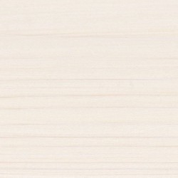 Масло грунтовочное для дерева Saicos Ecoline Ol-Grundierung цвет 3409 Белый 0,125 л