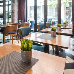 Масло для дерева TimberCare Wood Stain цвет Корица 350023 шелковисто-матовое 0,2 л