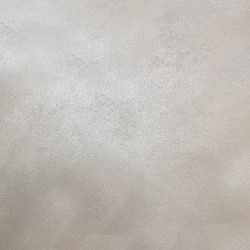 Краска декоративная Lanors Satin Silver STS_024 10 кг