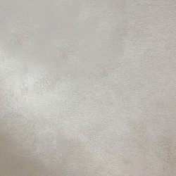 Краска декоративная Lanors Satin Silver STS_041 10 кг