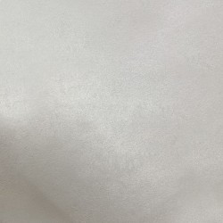 Краска декоративная Lanors Satin Silver STS_048 10 кг