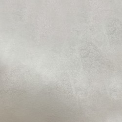 Краска декоративная Lanors Satin Silver STS_052 10 кг