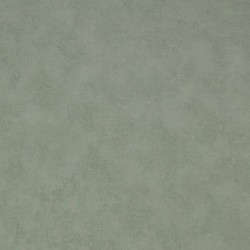 Обои New Company Antivandal Color 4050-030 10,05×1,06