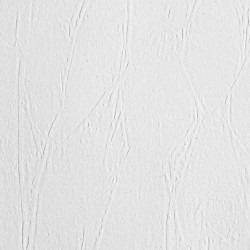 Обои под покраску New Company 9010-080 25×1,06