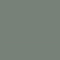 Краска Swiss Lake цвет Pounamu SL-3029