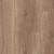 Кварцвиниловый SPC ламинат Damy Floor Family Дуб Имбирный 248-8 1220×180×4