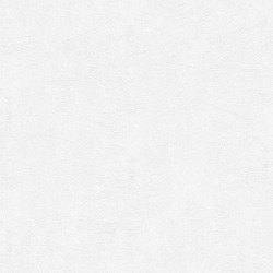 Обои под покраску Marburg Patent Decor Laser 9565 25×1,06