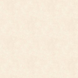 Обои WallTrend Imperial Aurora Velvet Stucco IMP17001 10×1