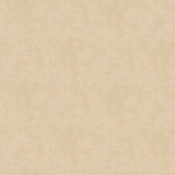 Обои WallTrend Imperial Aurora Velvet Stucco IMP17004 10×1