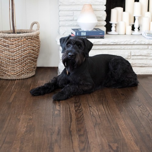 Масло с твердым воском TimberCare Hard Wax Oil цвет Шоколадный 350103 0,175 л Масло с твердым воском TimberCare Hard Wax Oil цвет Шоколадный 350103 0,175 л