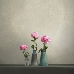 Обои Loymina Terra Granite TER3 005 10,05×1