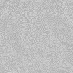 Обои Trendsetter Thom TH9919 10,05×0,53