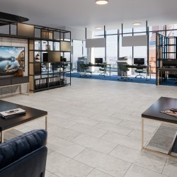 Кварцвиниловый SPC ламинат Damy Floor Ascent Strong Пик Лайла Laila Peak 6210-1-ST 610×305×5