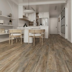 Кварцвиниловый SPC ламинат Evofloor Home Oak Ashen Дуб Пепельный L-20246 1220×183×4