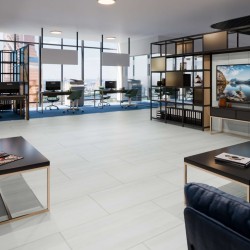 Кварцвиниловая плитка Damy Floor клеевая Ascent LVT Кайлас Kailash CDM271-03-LVT 912,4×455,2×2,5