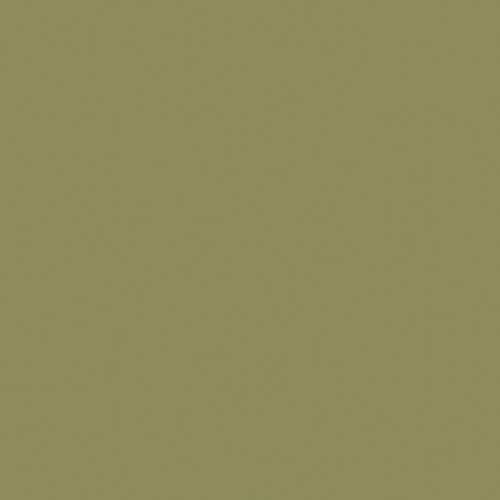 Обои Milassa Ambient vol.4 Plain Папоротник AM4 105/3 10,05×1