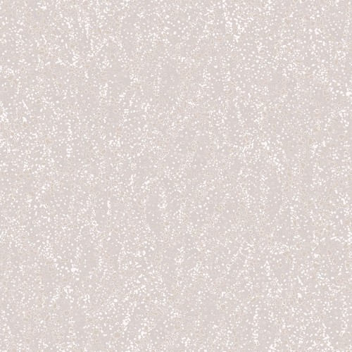 Обои Loymina A La Prima Moon PM7 001 10,05×1