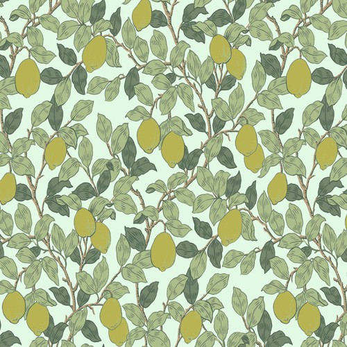Обои Loymina Equator Citron QTR3 006 10,05×1