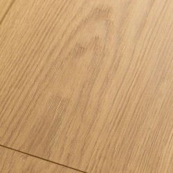 Ламинат FirstFloor Фактурный Матовый Дуб Аморе 1F308 1215×195×8