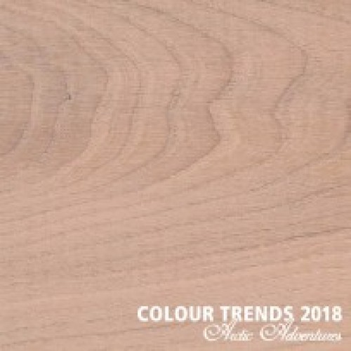 Цветное масло Rubio Monocoat Oil Plus 2C Trend Color Winter Blush 0,35 л, выкрас на дубе