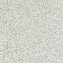 Обои Anthology 07 Ammonite EANW112560