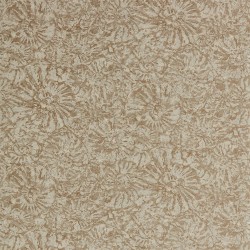 Обои Anthology 07 Ammonite EANW112561