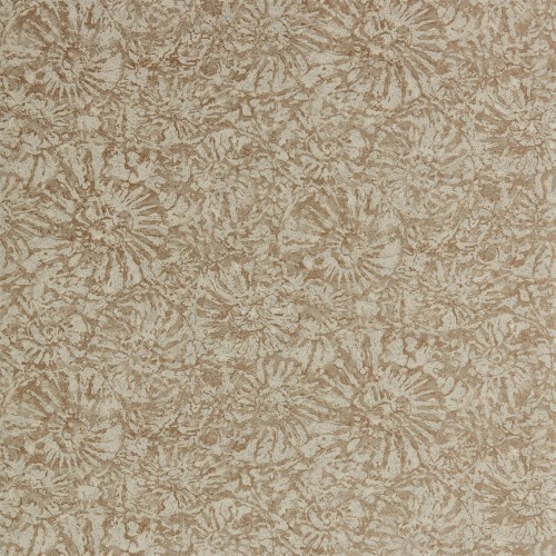 Обои Anthology 07 Ammonite EANW112561 Обои Anthology 07 Ammonite EANW112561
