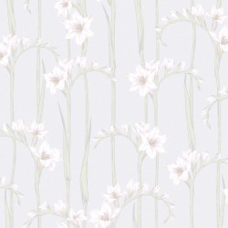 Обои Loymina Origins Gladiolus ALS2 001