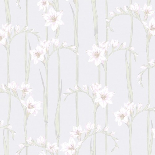 Обои Loymina Origins Gladiolus ALS2 001