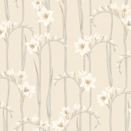 Обои Loymina Origins Gladiolus ALS2 002
