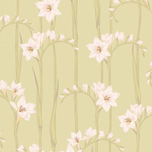 Обои Loymina Origins Gladiolus ALS2 005