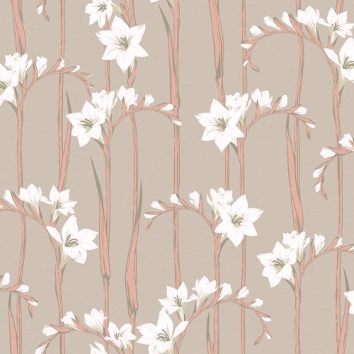 Обои Loymina Origins Gladiolus ALS2 012
